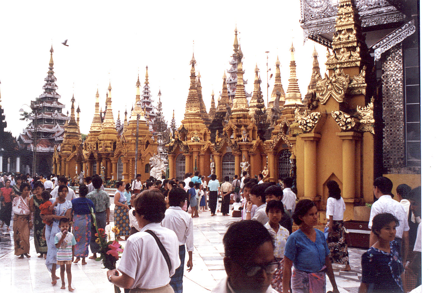 301.jpg, Shwedagon Pagoda
Rangoon