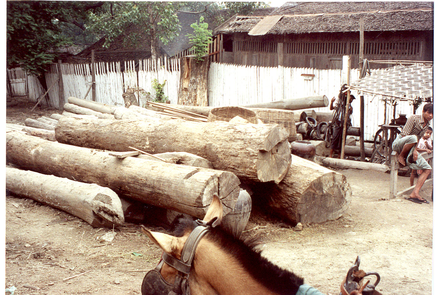 416.jpg, Mandalay
Burma