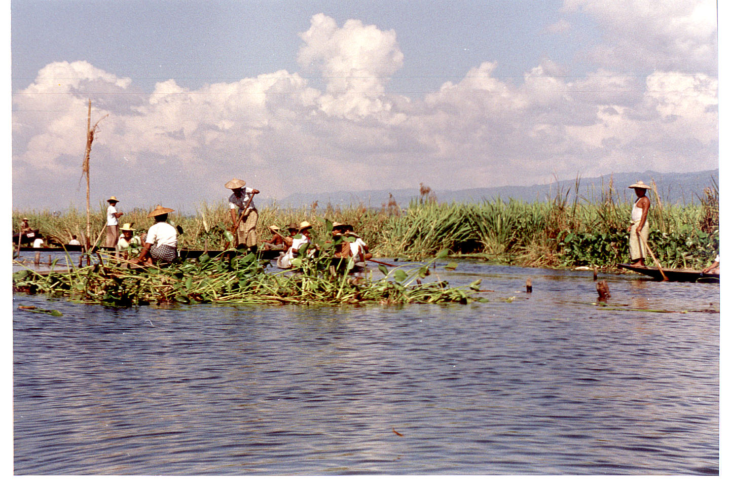 487.jpg, Inle Lake
Burma