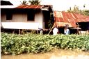 _076.jpg, Klong tour
Bangkok