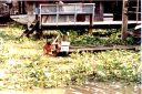 _086.jpg, Klong tour
Bangkok