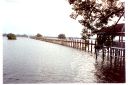 _447.jpg, Ava Bridge (Teak)
near Mandalay