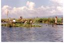 _487.jpg, Inle Lake
Burma