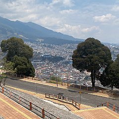 IMG 1447