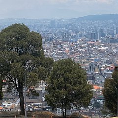 IMG 1450