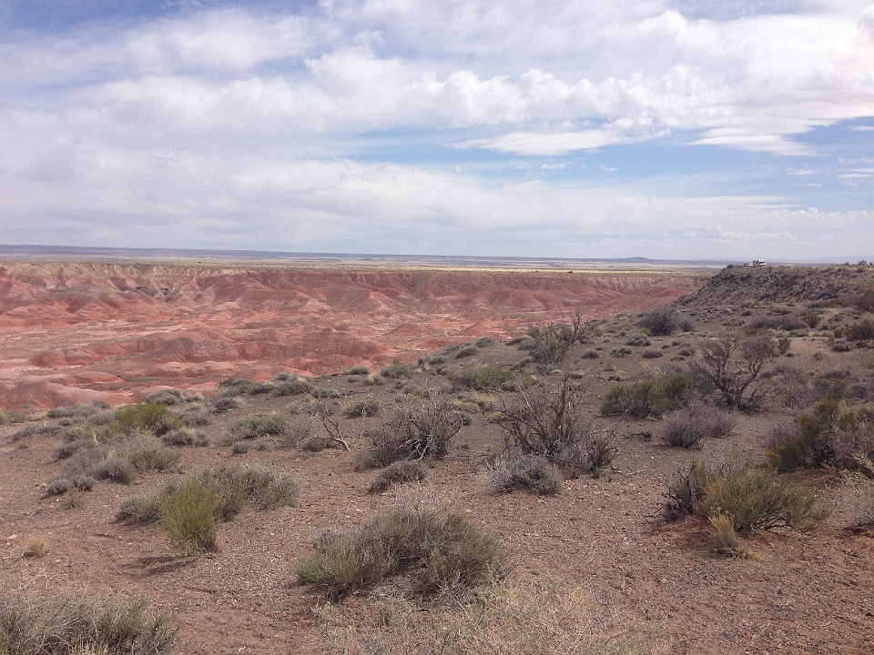 IMG_1732.JPG - Painted Desert