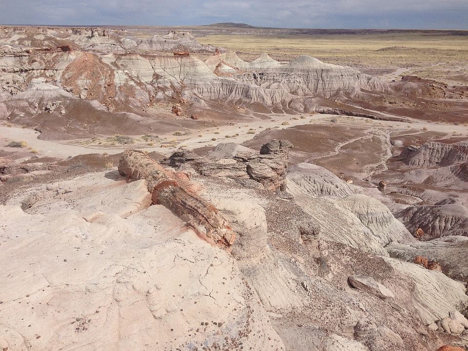 IMG_1738.JPG - Petrified Forest