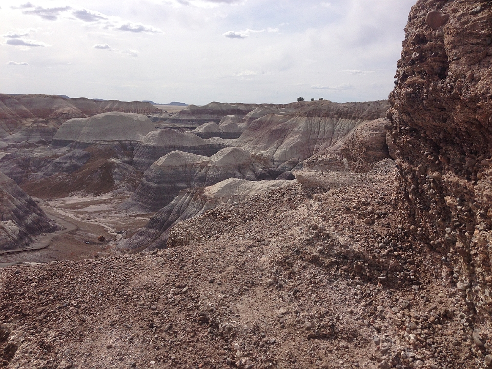 IMG_1740.JPG - Blue Mesa Hike