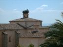 _045.jpg, Storks on church
in Jarandilla