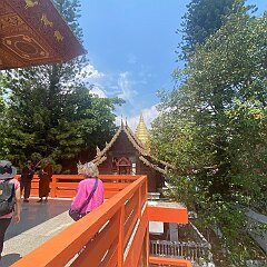IMG_2358
