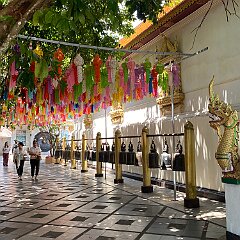 IMG_2361