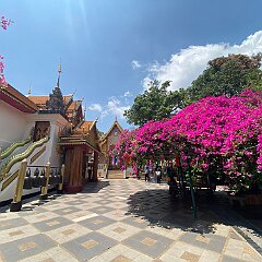 IMG_2365
