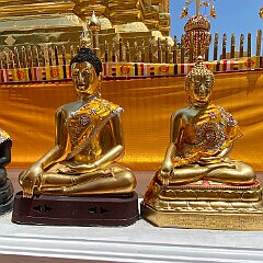 IMG_2370