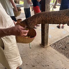 IMG_1863