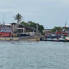 IMG_2170