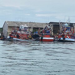 IMG_2172