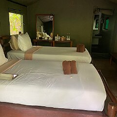 IMG_2176