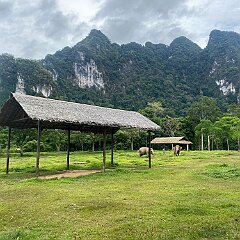 IMG_2178
