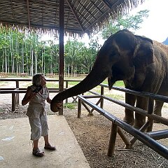 IMG 2183
