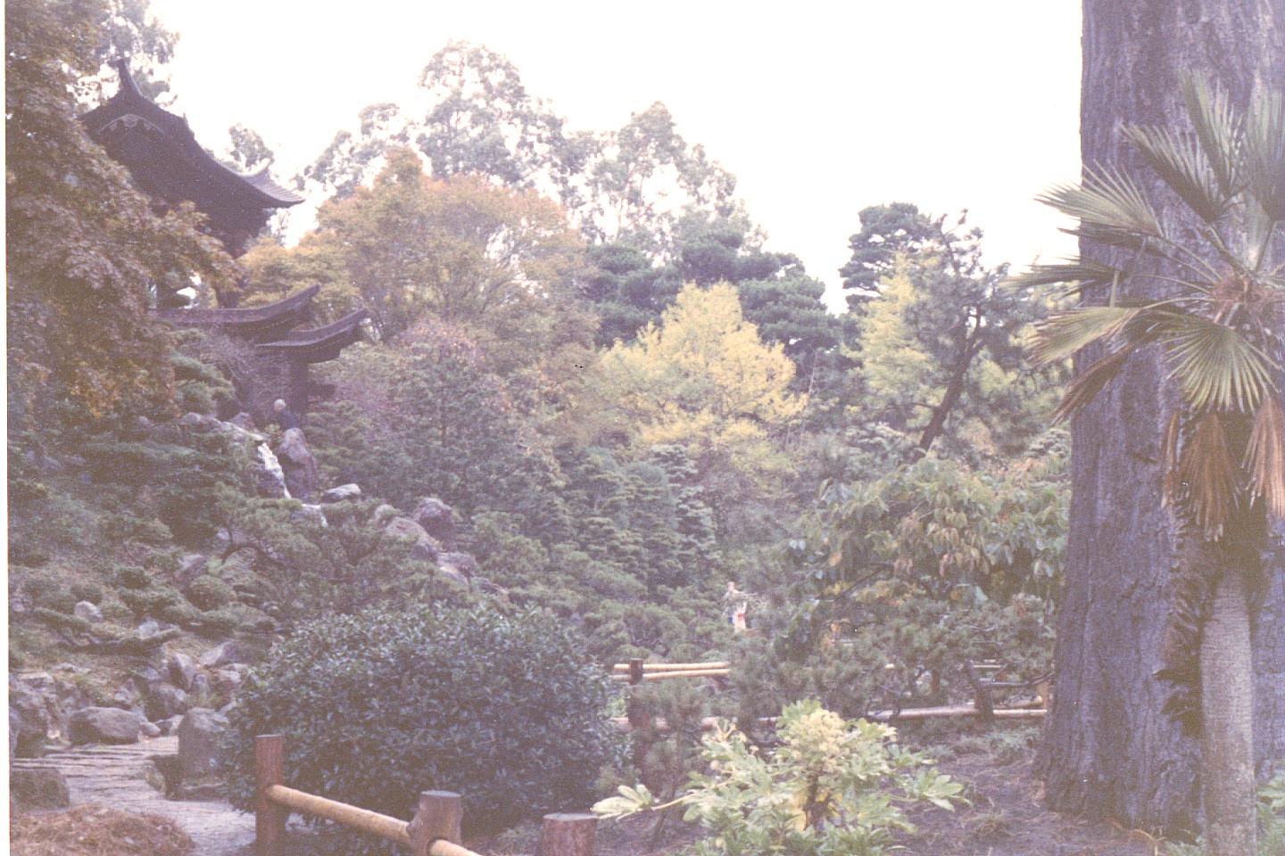 010.jpg, Japanese Gardens
San Francisco