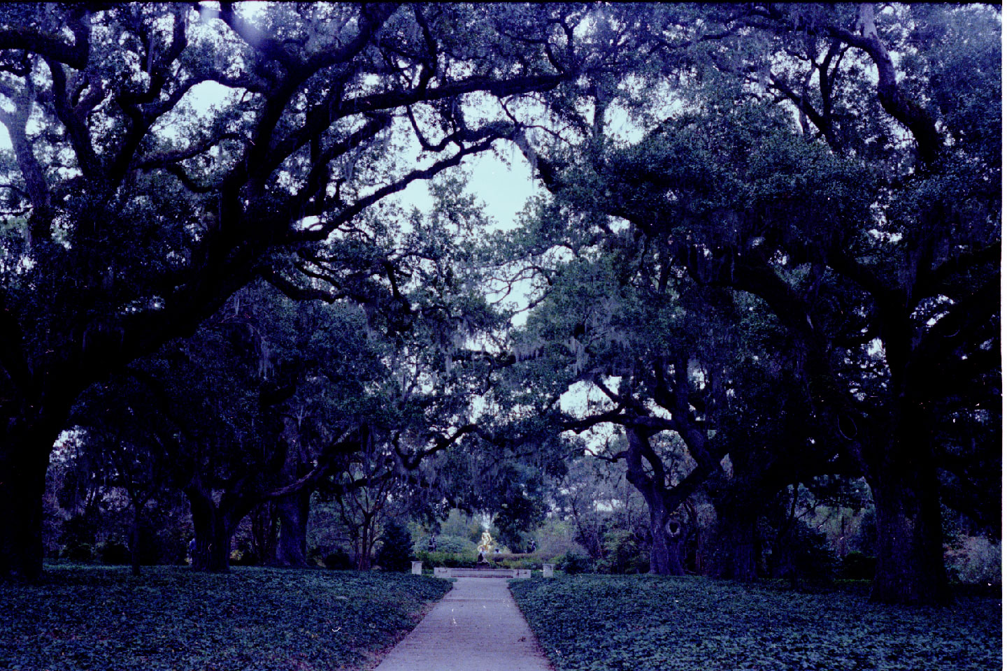 01-06.jpg, Brookgreen Gardens
South Carolina