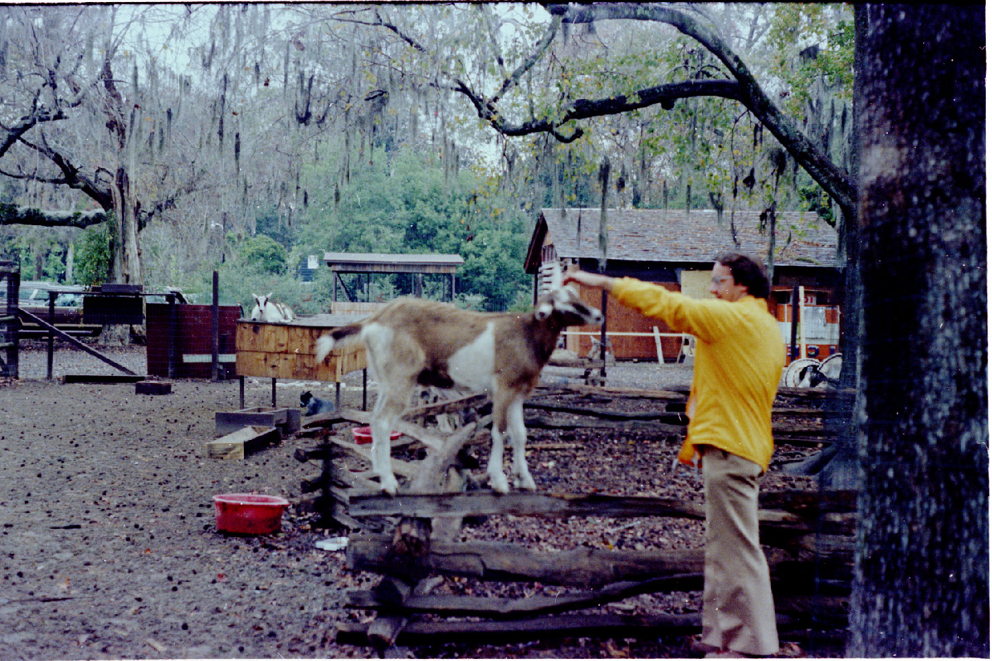 01-07.jpg, Magnolia Gardens
South Carolina