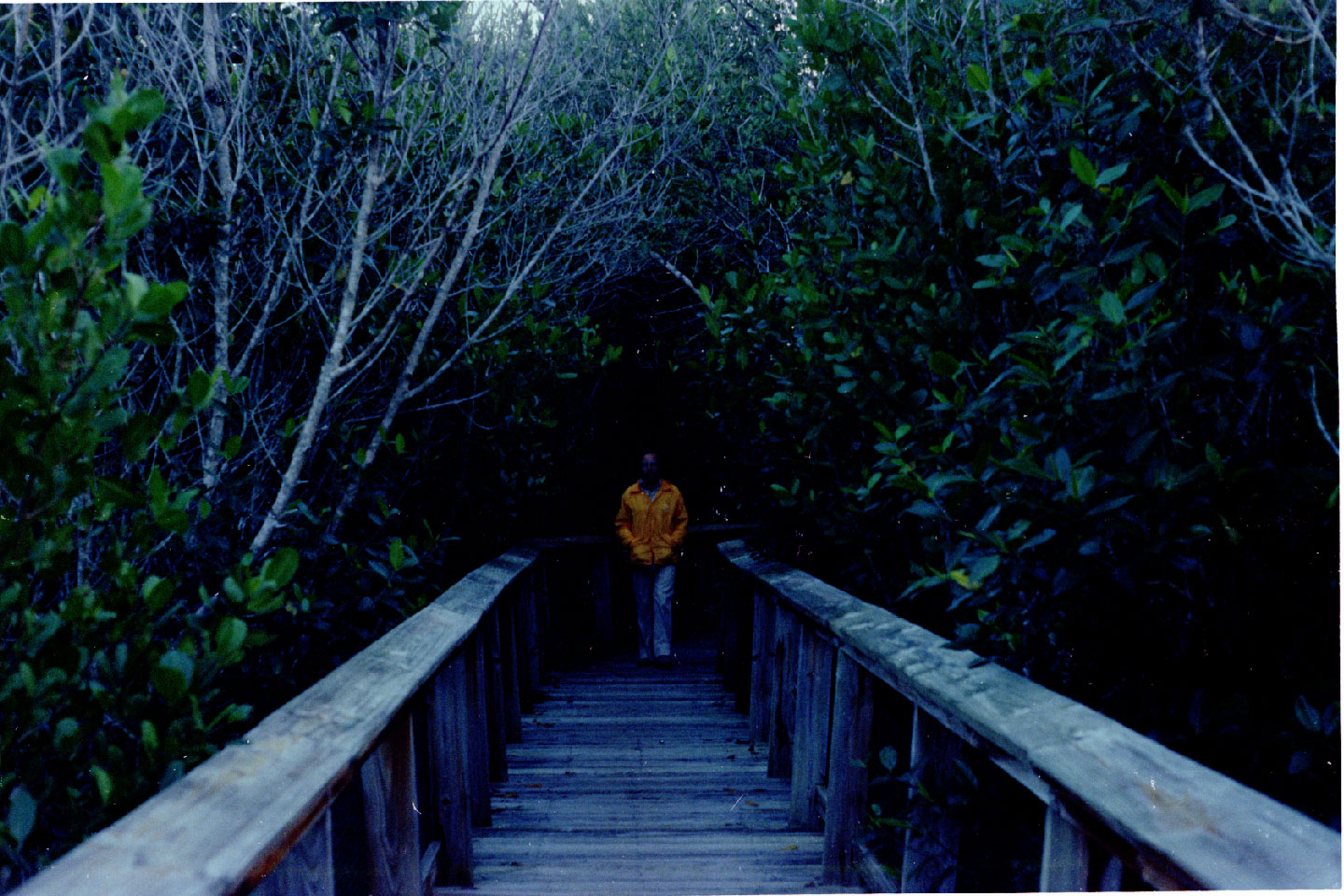 02-09.jpg, Everglades