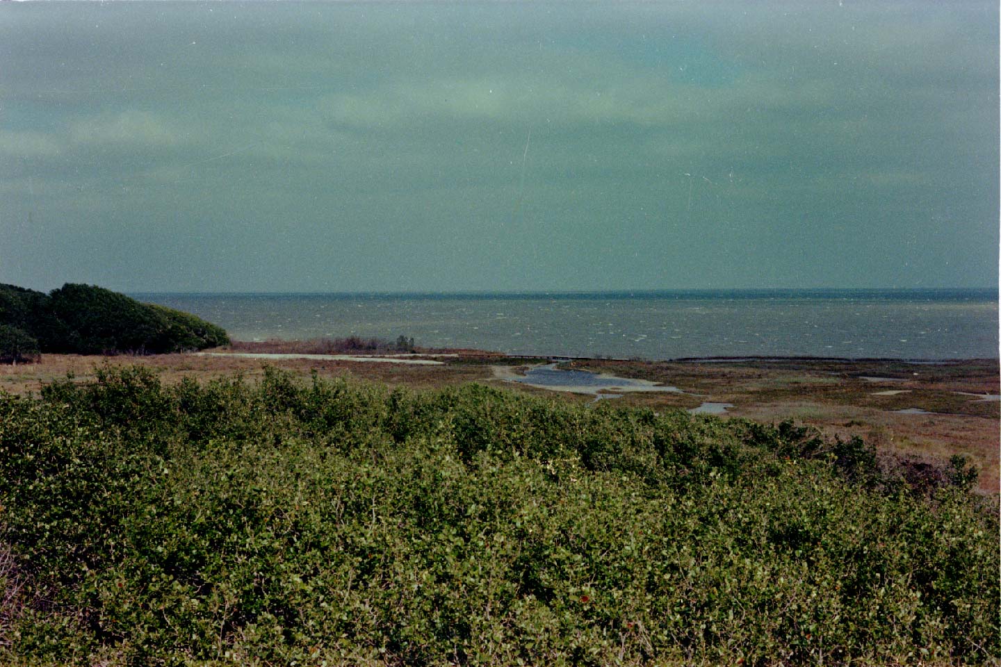 04-08.jpg, Aransas Nat Wildlife Refuge
Texas