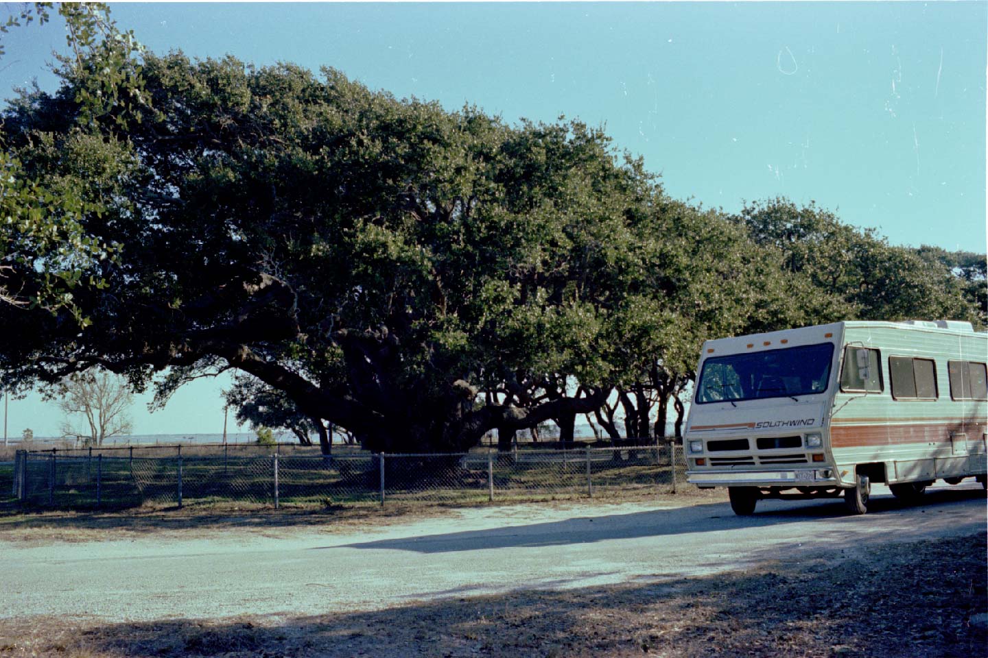 04-09.jpg, Chairman, Live Oak Soc
Goose Island, Texas