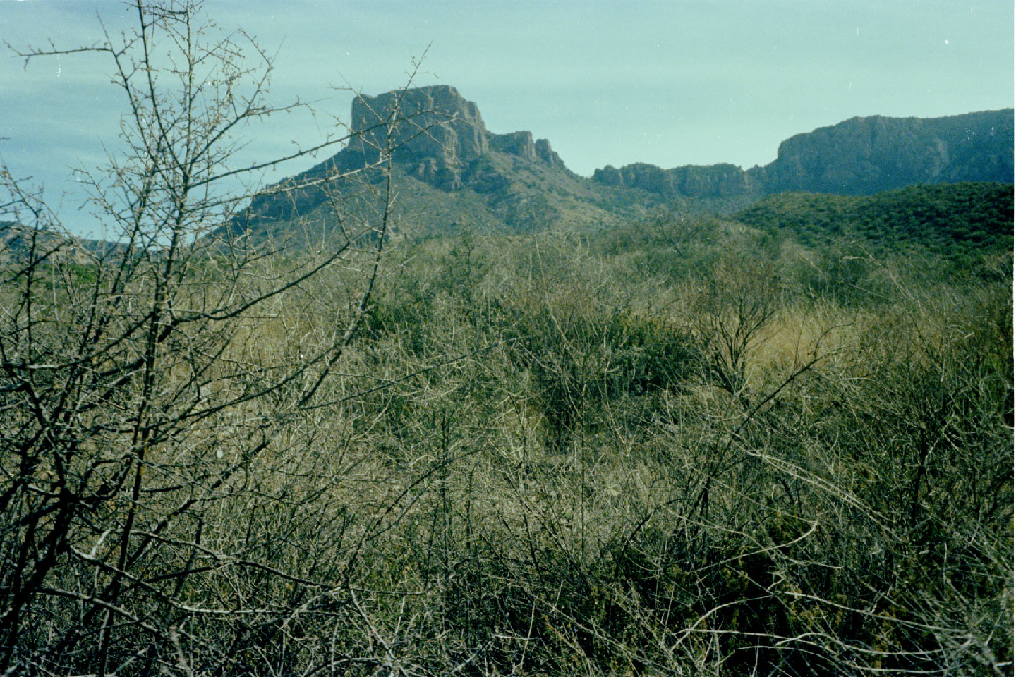 05-05.jpg, Ride to the Window
Big Bend, Texas