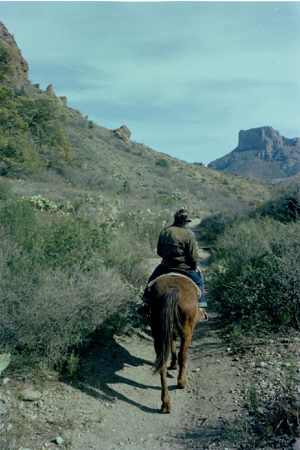 05-11.jpg, Ride to the Window
Big Bend, Texas