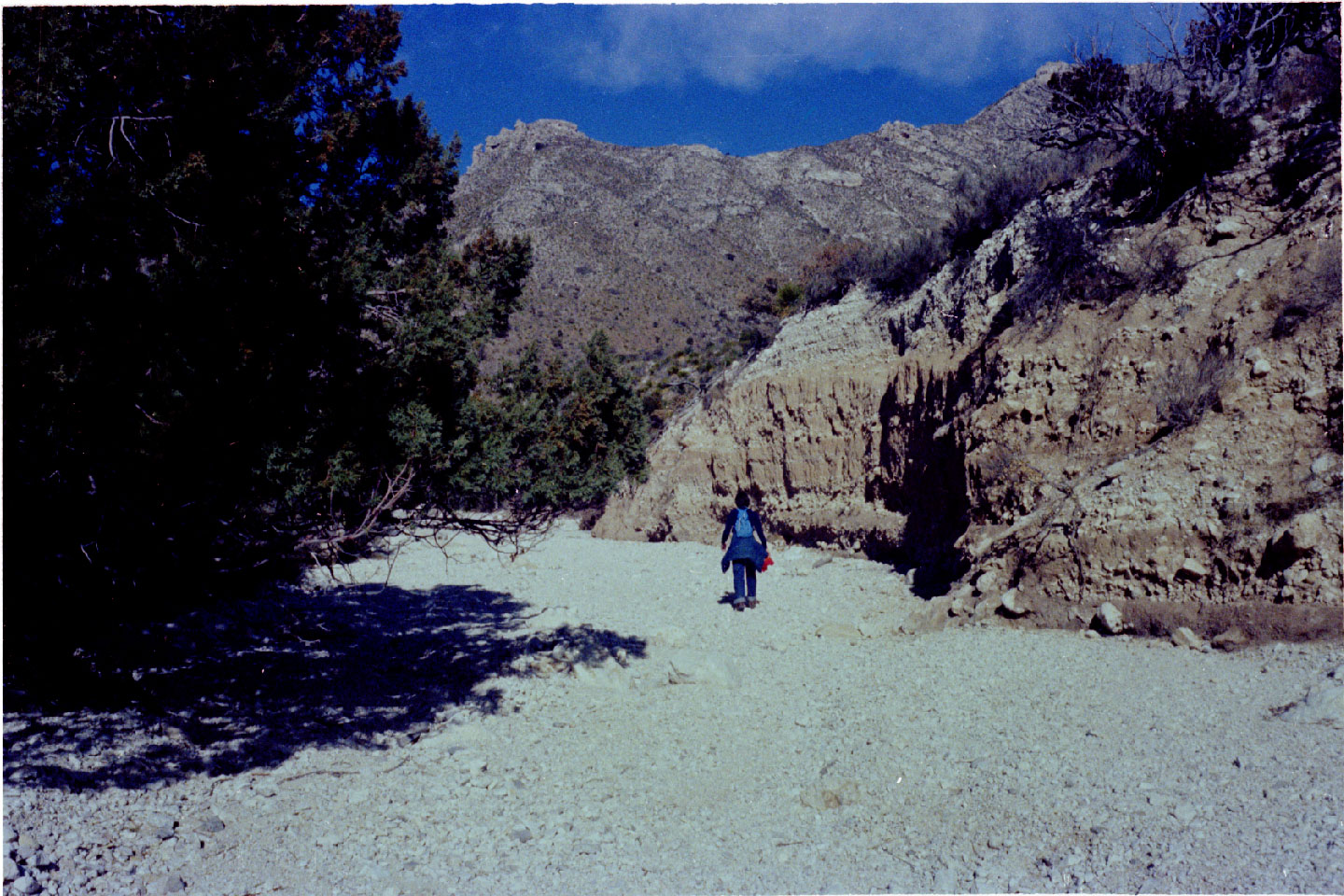 06-06.jpg, Guadeloupe Mountains
Texas