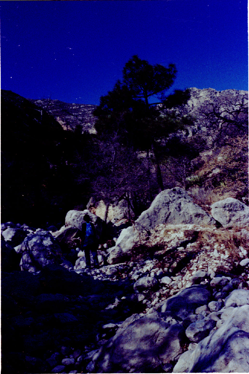 06-07.jpg, Guadeloupe Mountains
Texas