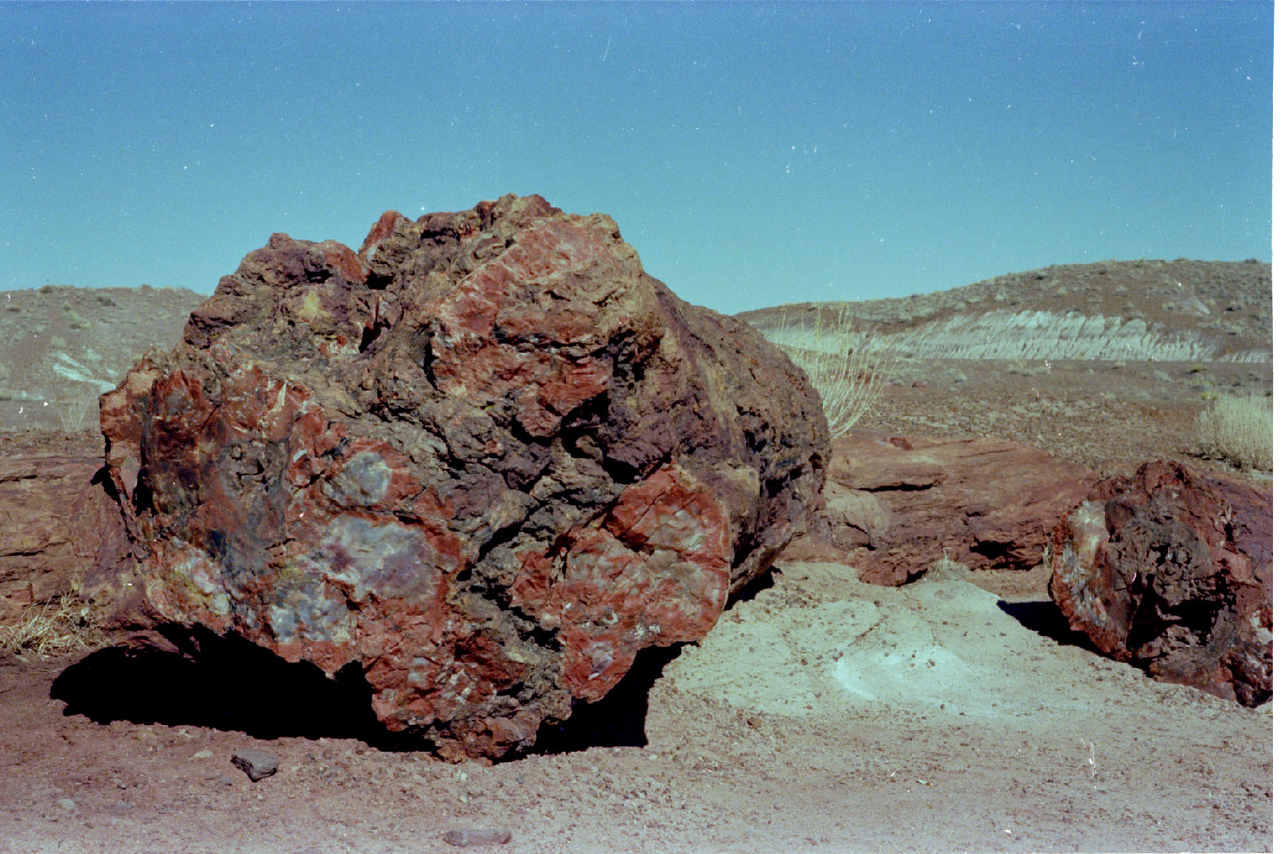 07-04.jpg, Petrified Forest
Arizona