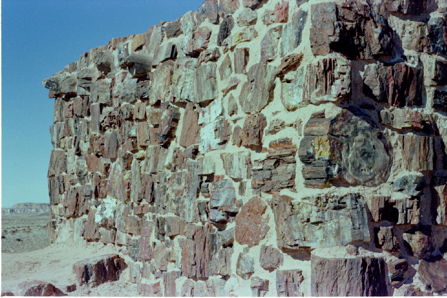 07-05.jpg, Petrified Forest
Arizona