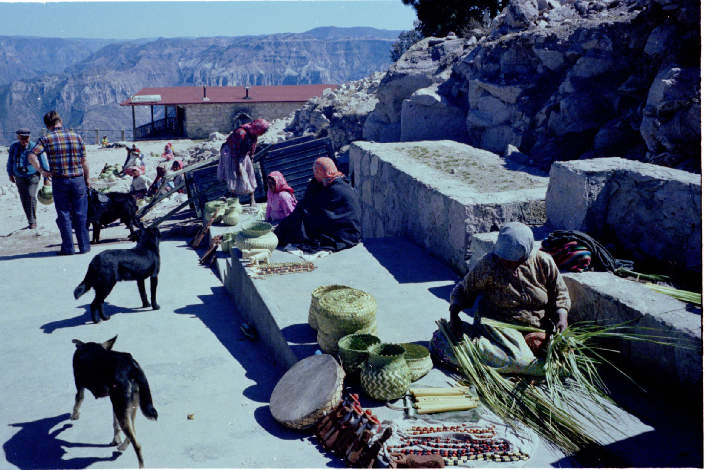 08-22.jpg, Copper Canyon
Mexico