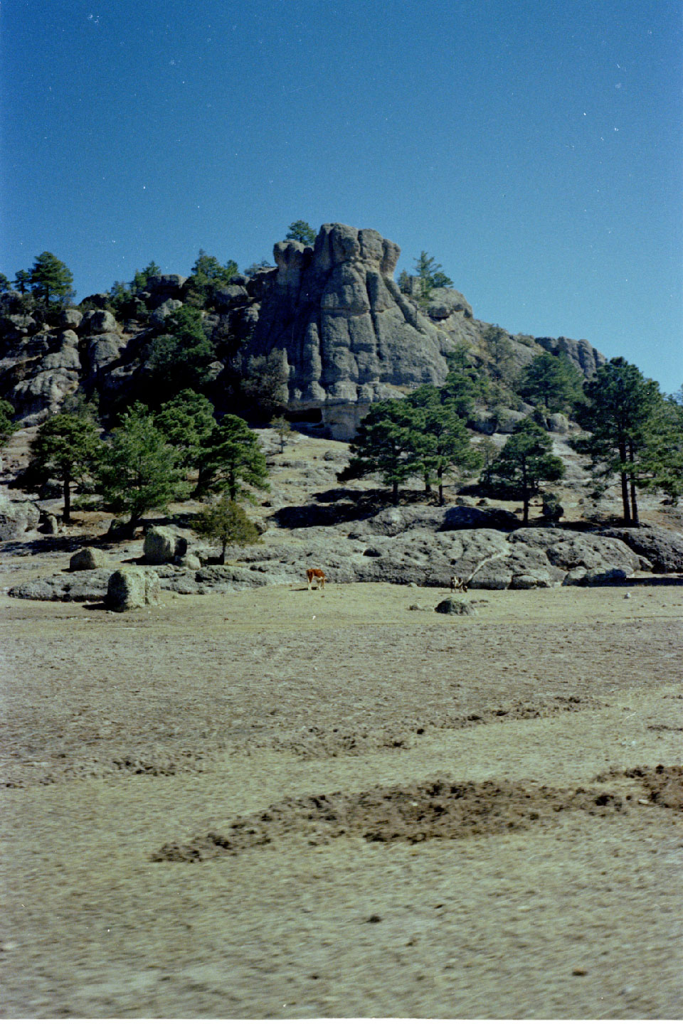 08-29.jpg, Tarahumara Indian
Reservation, Creel