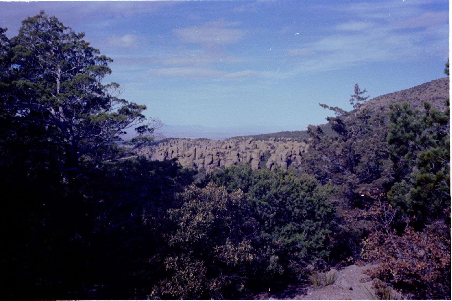 10-35.jpg, Chiricahua Nat Mon
Arizona