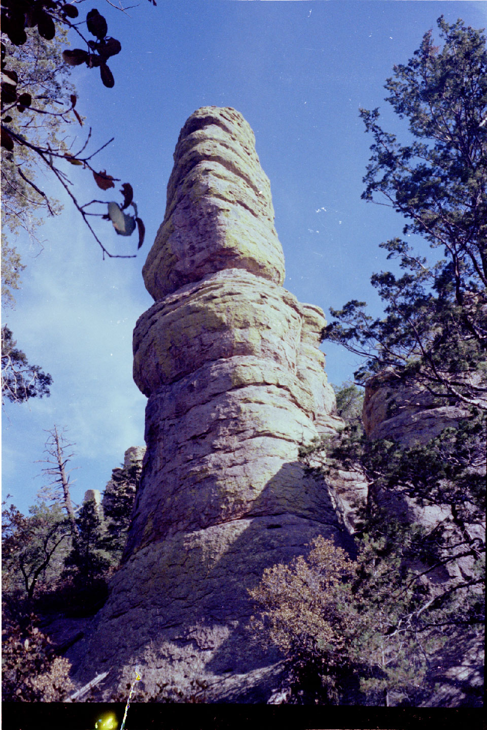 10-37.jpg, Chiricahua Nat Mon
Arizona