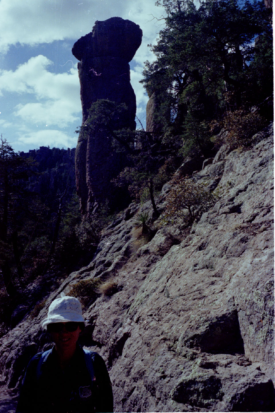 11-01.jpg, Chiricahua Nat Mon
Arizona