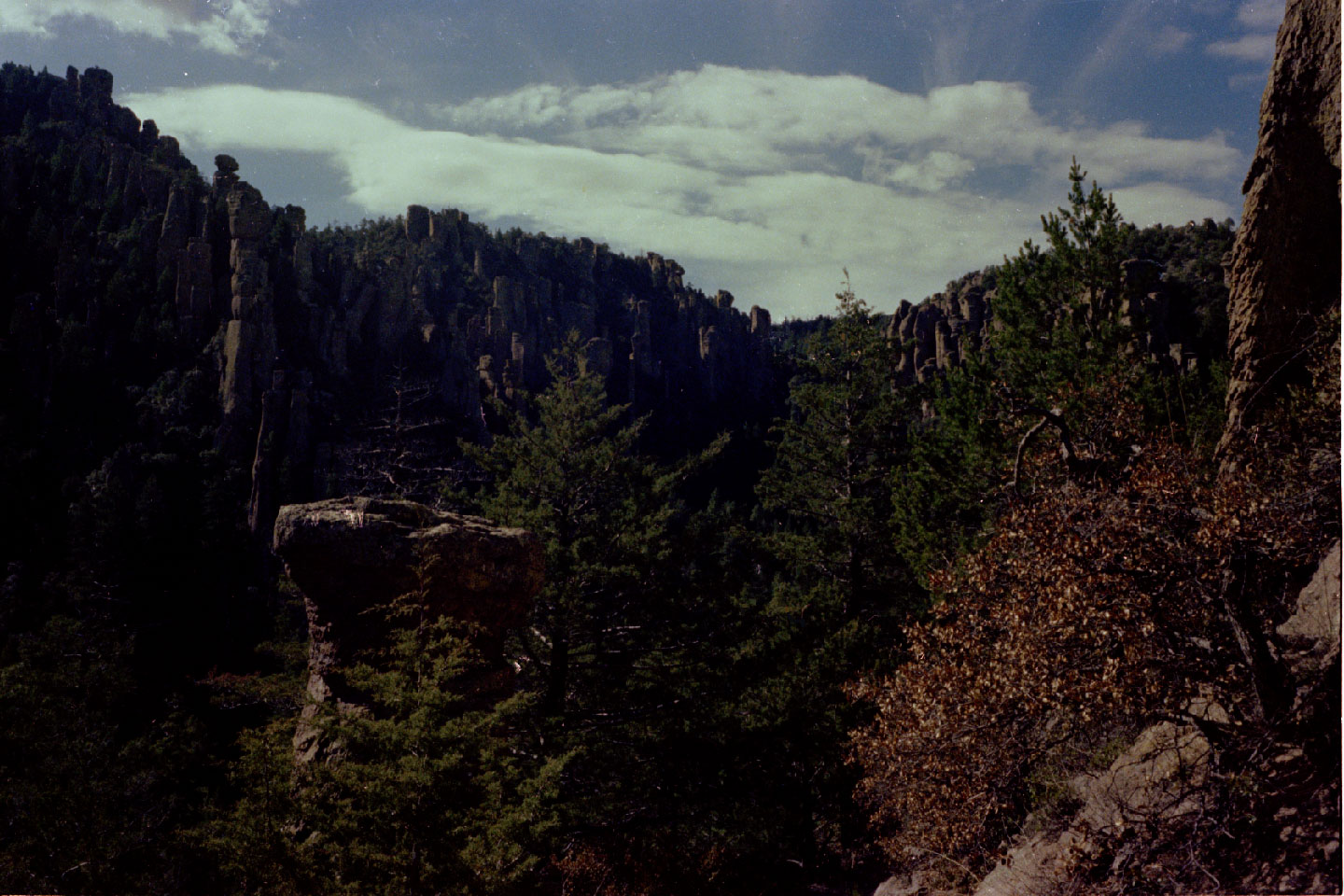 11-02.jpg, Chiricahua Nat Mon
Arizona