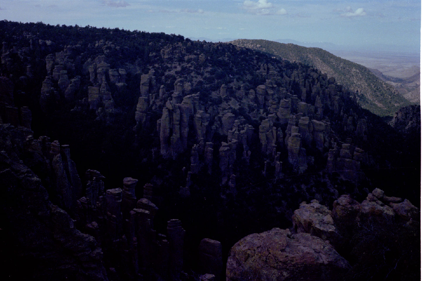 11-07.jpg, Chiricahua Nat Mon
Arizona