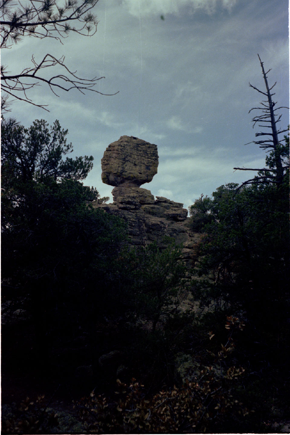 11-09.jpg, Chiricahua Nat Mon
Arizona