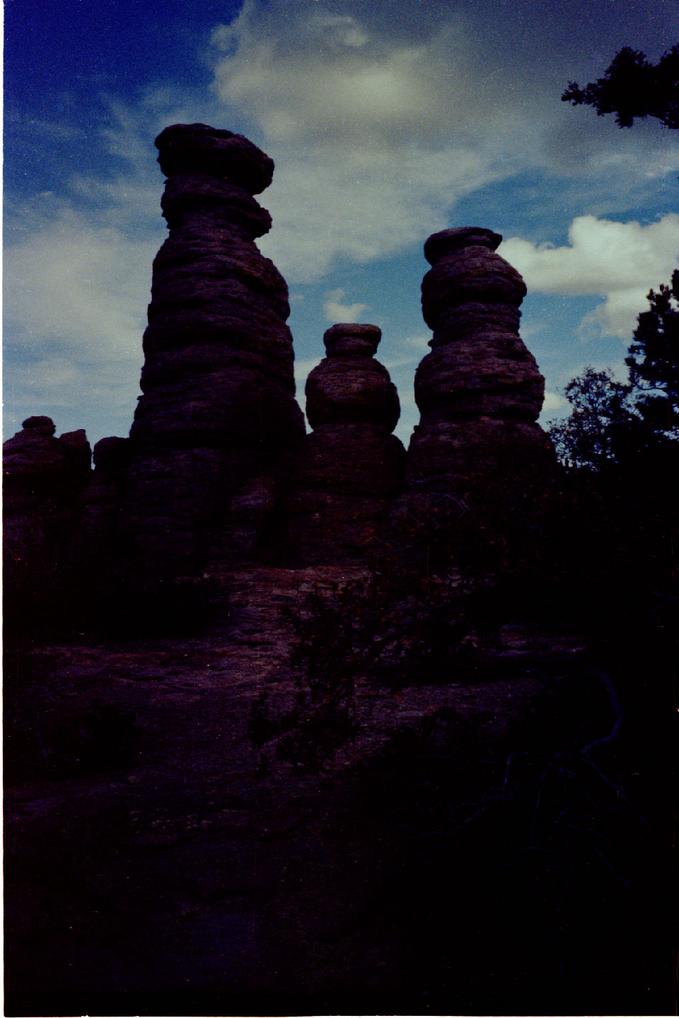 11-14.jpg, Chiricahua Nat Mon
Arizona