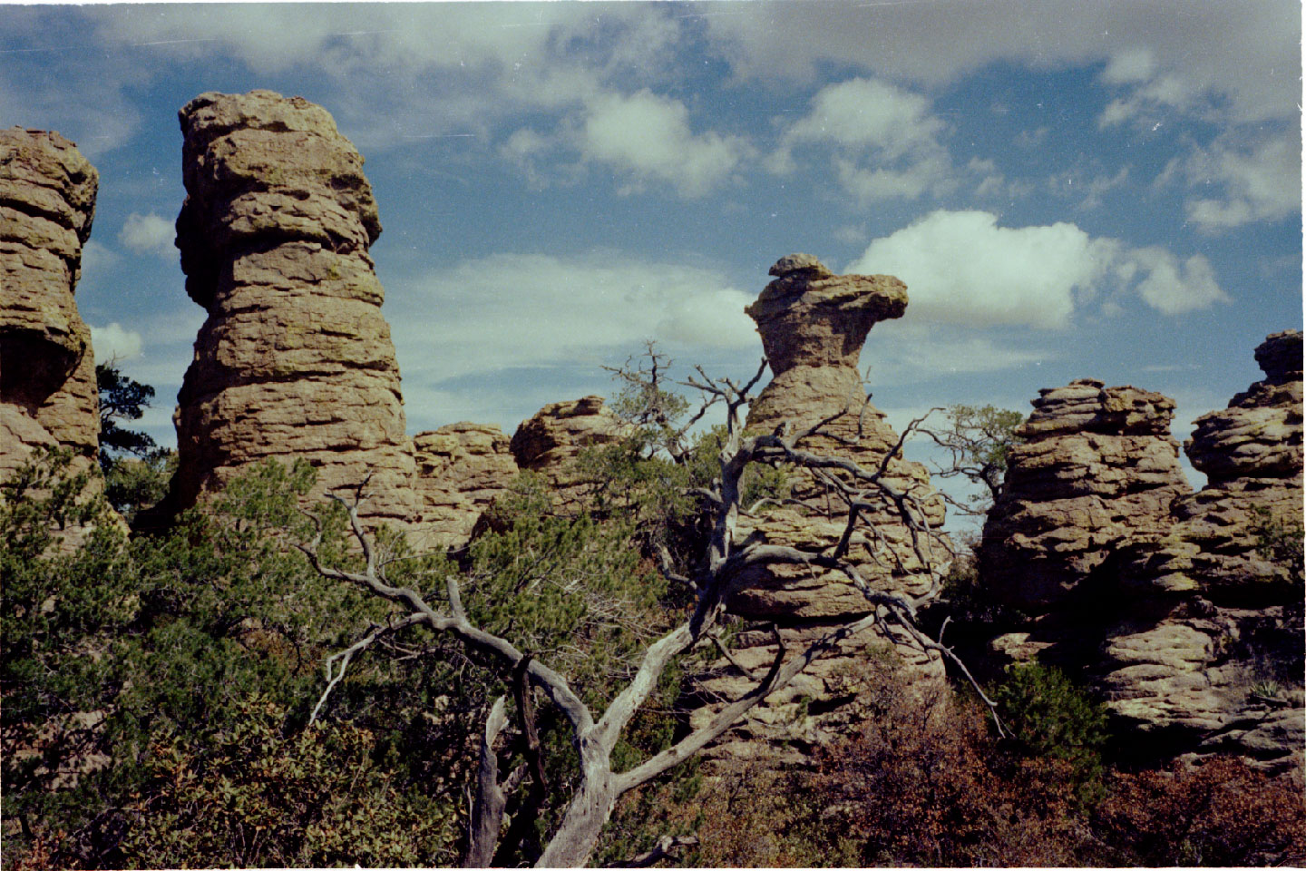 11-17.jpg, Chiricahua Nat Mon
Arizona