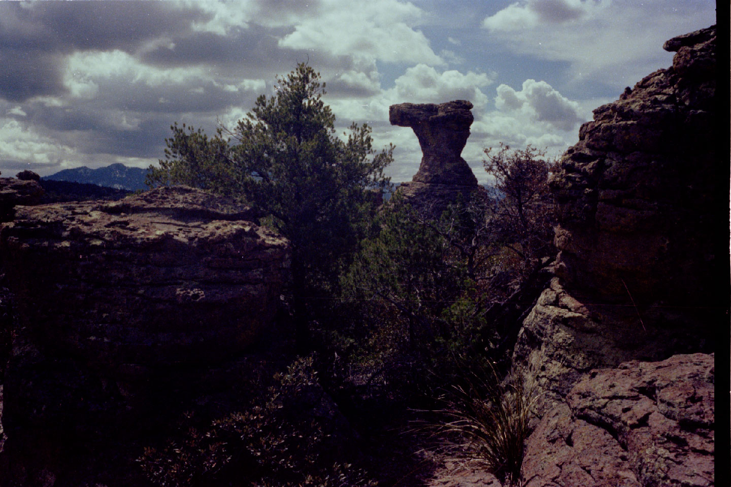 11-18.jpg, Chiricahua Nat Mon
Arizona