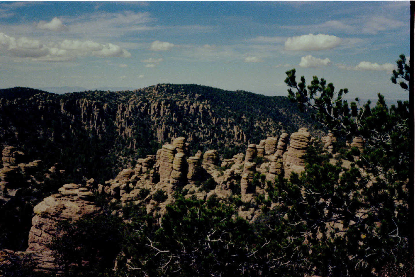 11-19.jpg, Chiricahua Nat Mon
Arizona