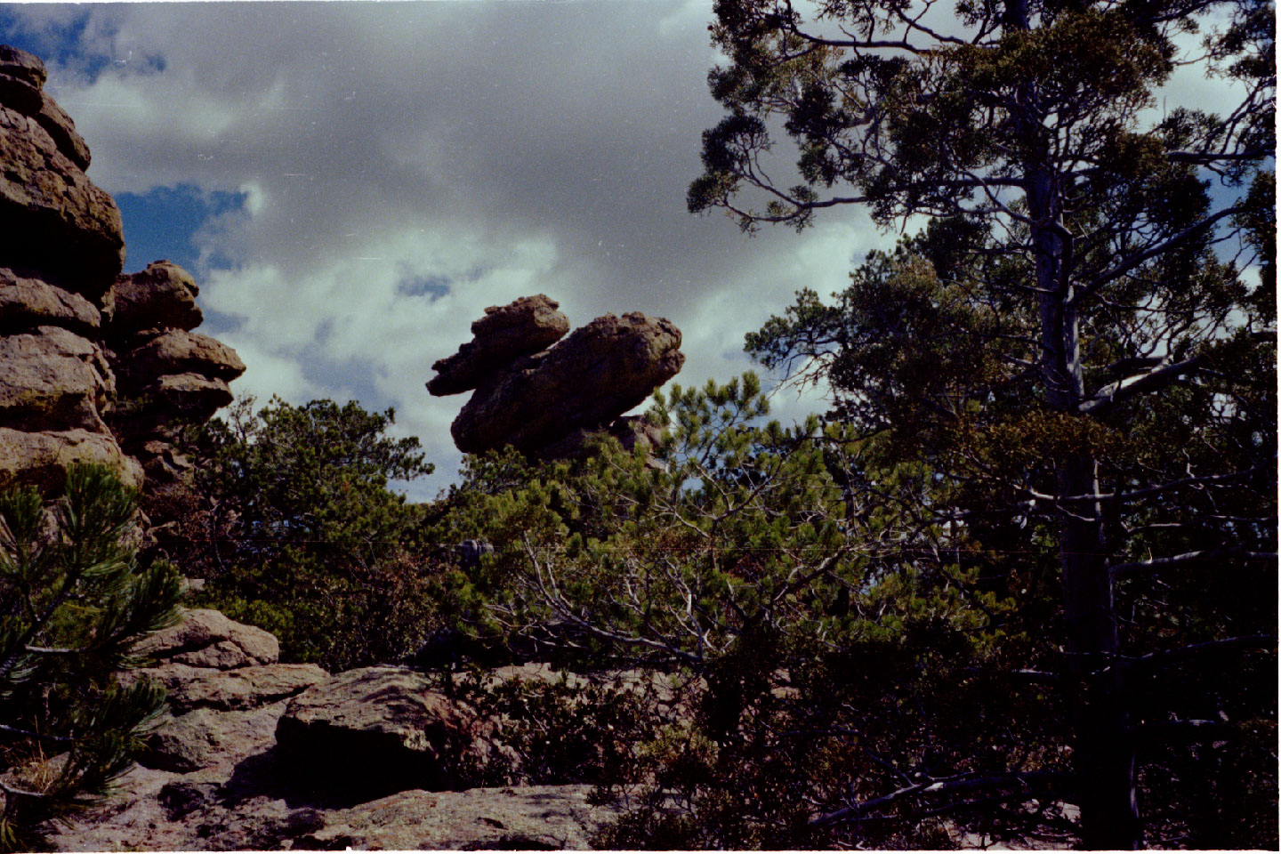 11-21.jpg, Chiricahua Nat Mon
Arizona