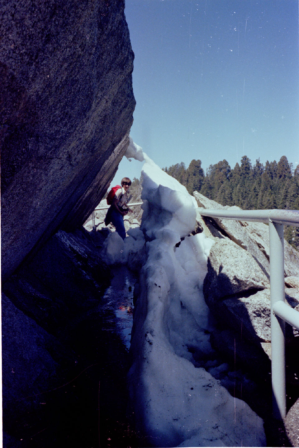 11-35.jpg, hike to Morro Rock
Sequoia Nat Park