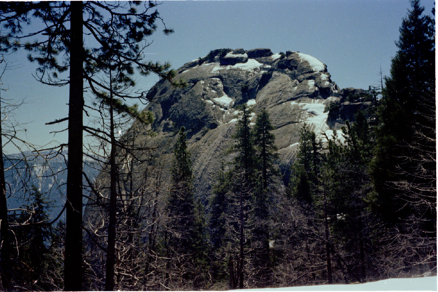 11-36.jpg, Morro Rock
Sequoia Nat Park